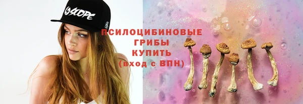 mdpv Алзамай